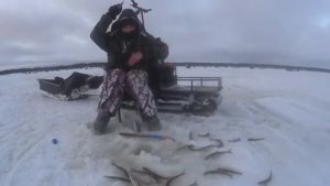 ЗАТЕМНИЛ ЛУНКУ СНЕГОМ И ЛОВИТСЯ СТАЛО ЛУЧШЕ! РЫБАЛКА НА КОРЮШКУ!