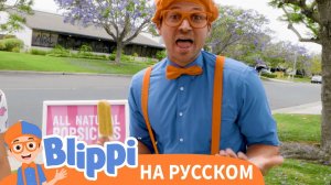 Блиппи делает фруктовое мороженое | Блиппи на Русском | Изучай этот Мир вместе с Блиппи | Blippi