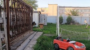 помогаторы!!!!