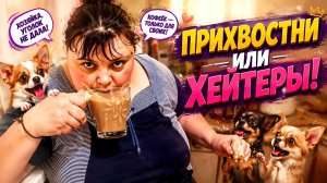 Я вот что скажу  прихвостням и хейтерам Иришки