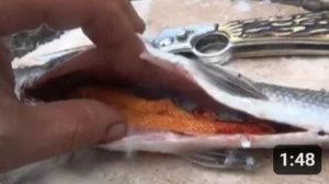 Сагудай из свежего хариуса / Таежный деликатес сагудай / Сугудай