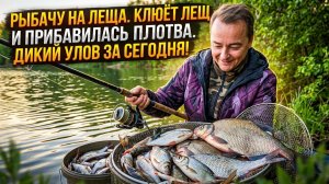 Рыбачу на Леща. Клюёт лещь и прибавилась плотва. Дикий улов за сегодня