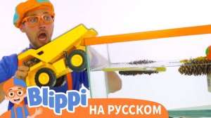 Утонет или всплывёт? | Блиппи на Русском | Изучай этот Мир вместе с Блиппи | Blippi