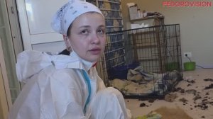Мы на передовой, стыдно Туапсе. Ужасные последствия прилетов. город, море в мазуте. Репортаж