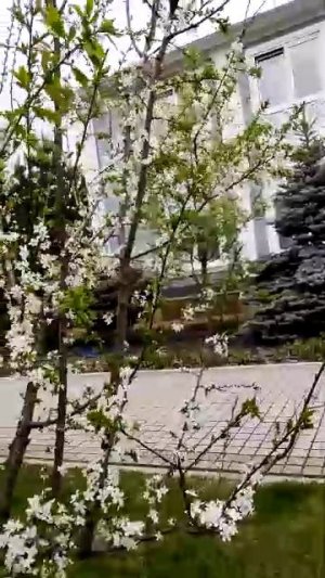 09-05-2026