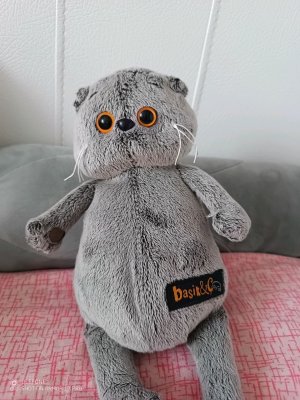 половина дня басиков