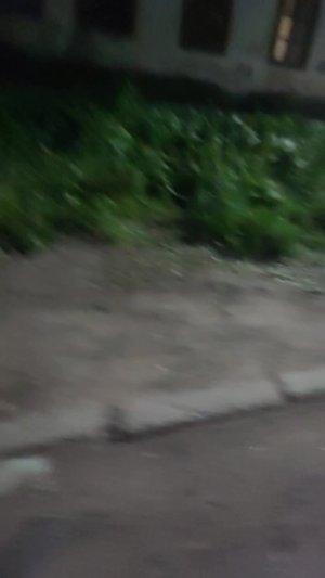 иду гулять