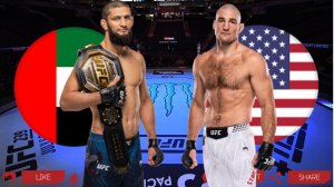 UFC 328 | Чимаев - Стрикленд | Текстовая трансляция