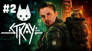 Продолжаем путь▶Stray #2