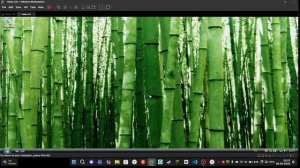 Обзор на Windows Vista Business