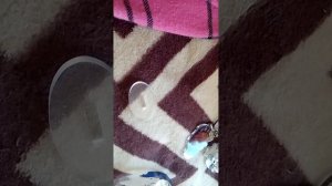 ПРАВИЛЬНЫЕ СУПЕРЗАЛИПАЛКИ!!!🤩🤩🤩🤩
готовимся к игре «магазин игрушек» и продаём яркие игрушки! 🧸