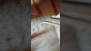 мы на чердаке