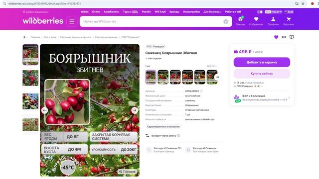 Купить саженцы на wildberries - продавец - ЛПХ Ромашка