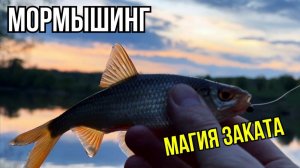 Мормышинг: Магия заката на зеркальной глади