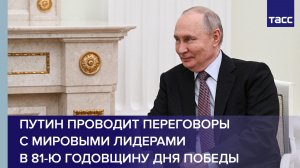 Путин проводит переговоры с мировыми лидерами