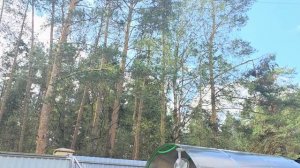 БИЗНЕС НА ХОСРОЕВОЙ