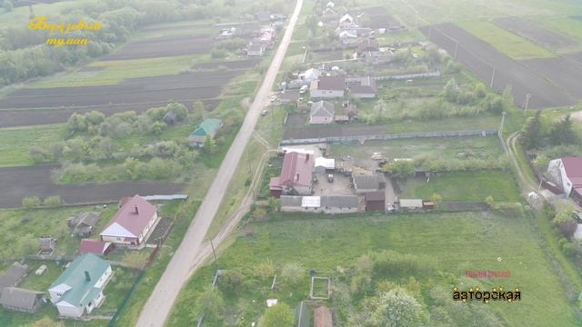 Берёзовый туман..