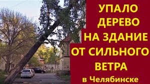 От крепкого до штормового ветра в Челябинске