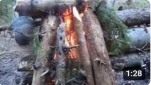Как отпугивать медведя при ночевке в тайге, а также как быстро жечь сырые дрова.