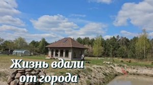 Жизнь вдали от города: работы больше, чем световой день. Ремонт после бури. Сруб заиграл красками