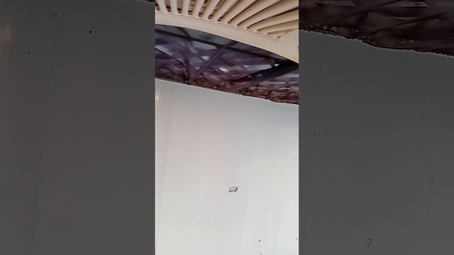 2535.mp4 смотреть онлайн