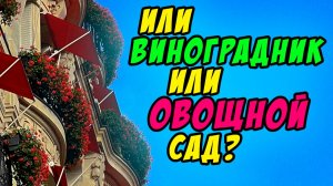Или виноградник или овощной сад - Василий Савич. Христианские проповеди