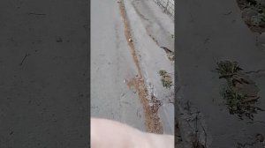 праздник