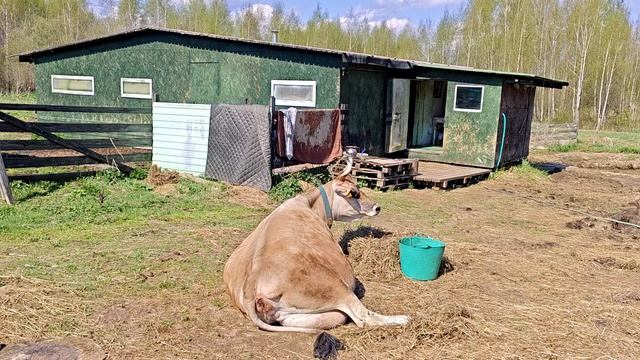 ВОТ ТАК И ЖИВЕМ!