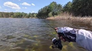 Обрыбил новый мормо спинниг!!!