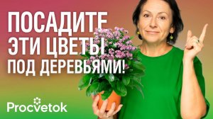 ЧТО ПОСАДИТЬ ПОД ДЕРЕВЬЯМИ? Эти цветы «задушат» сорняки и украсят ваш сад!