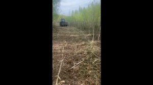 Отзыв от покупателя на дисковый кусторез мульчировщик КДК-1.8
