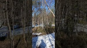 Тропа здоровья.