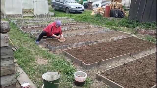 Делаем с Володей грядки🌸