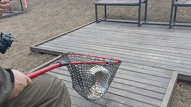 1000098065.mp4