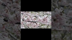 copy_66155D1A-ED6C-4C1D-AE1B-35478C1204C1