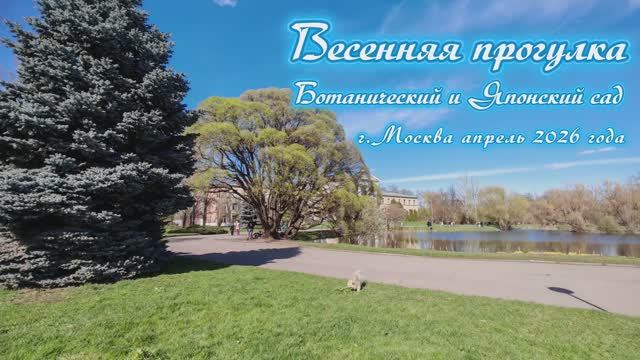 Весенняя прогулка Ботанический и Японский сад (г.Москва апрель 2026 года)