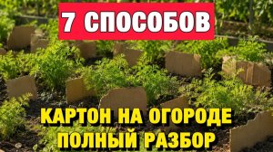 Не выбрасывайте картон! 7 рабочих способов для огорода