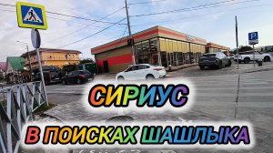 СИРИУС. В ПОИСКАХ ШАШЛЫКА