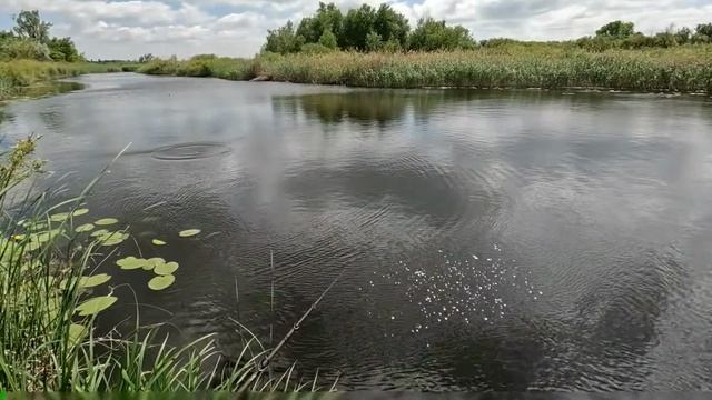 Рыбачим и тестируем спиннинг. Пробую различные насадки и делюсь опытом. Рыбацкий день