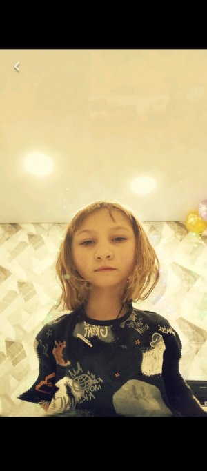 суслики