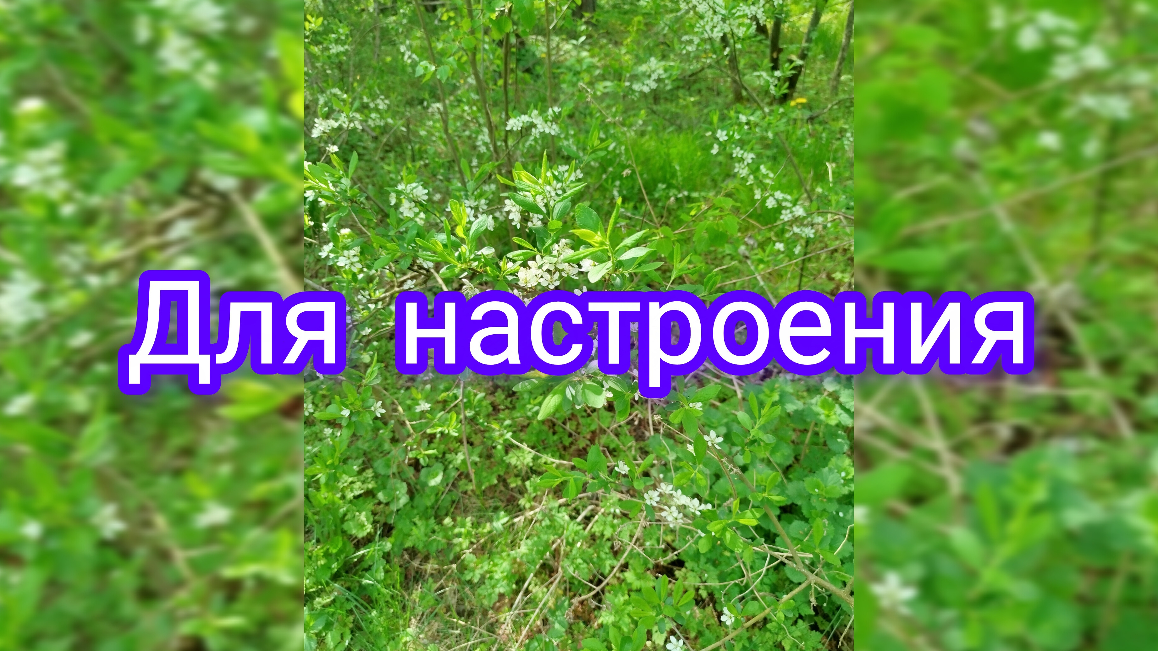 Рассказ 