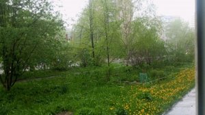 Дождь и гром. молния некуда бежать