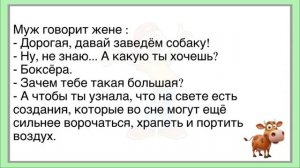 🤣Как_Мужик_Сам_С_Собой_Разговаривал!_Сборник_Смешных_До_Слёз_Анекдотов!