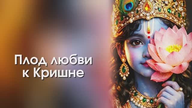 Плод любви к Кришне ❤️ Гаурачандрика матаджи