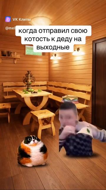 Когда отправил свою котость к деду на выходные