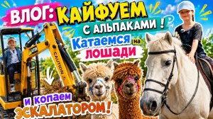 🔥Влог майские выхи 🌟🫶🏻альпаки,пицца и конные прогулки! Эскалатор 🚜