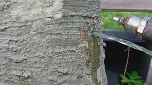 Как починить протекающую бочку