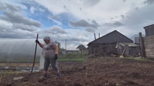 меня не выгнать из огорода/ посадила картошку/ у нас ветер ужасный/