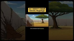 Ты родился Медоедом