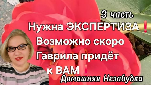 3 часть. Нужна ЭКСПЕРТИЗА❗️Возможно скоро Гаврила придёт к ВАМ😱❗️